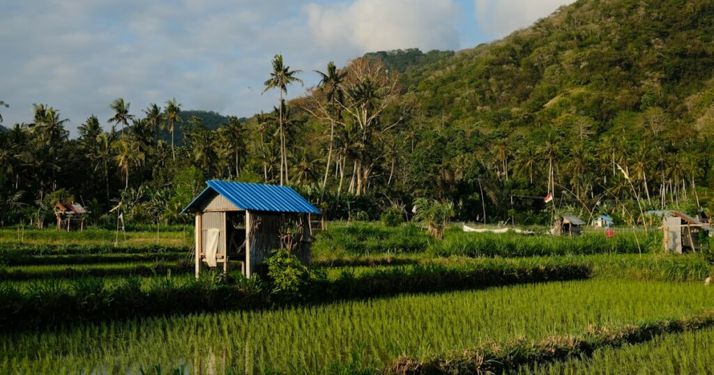 Bali hors des sentiers battus : villages et rizières pittoresques