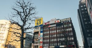 Japon en 10 jours : Tokyo Kyoto Osaka l'essentiel des villes japonaises