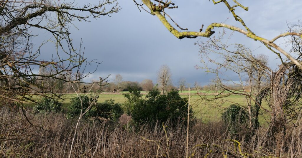 Le slow travel : voyager moins souvent mais mieux pour une expérience enrichissante