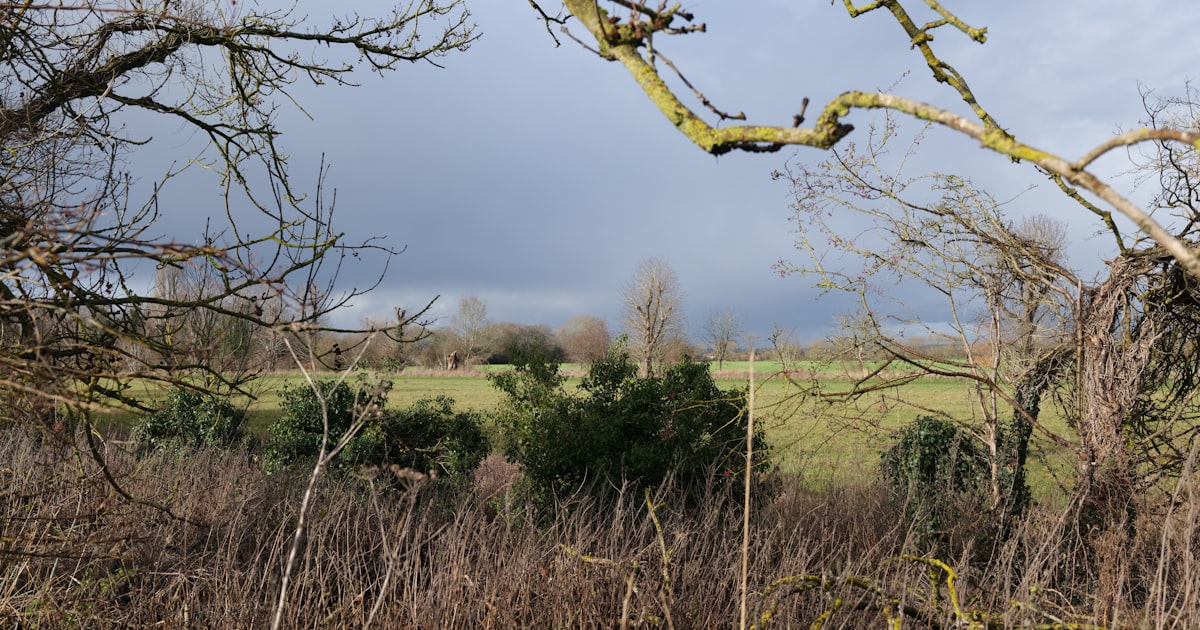 Le slow travel : voyager moins souvent mais mieux pour une expérience enrichissante