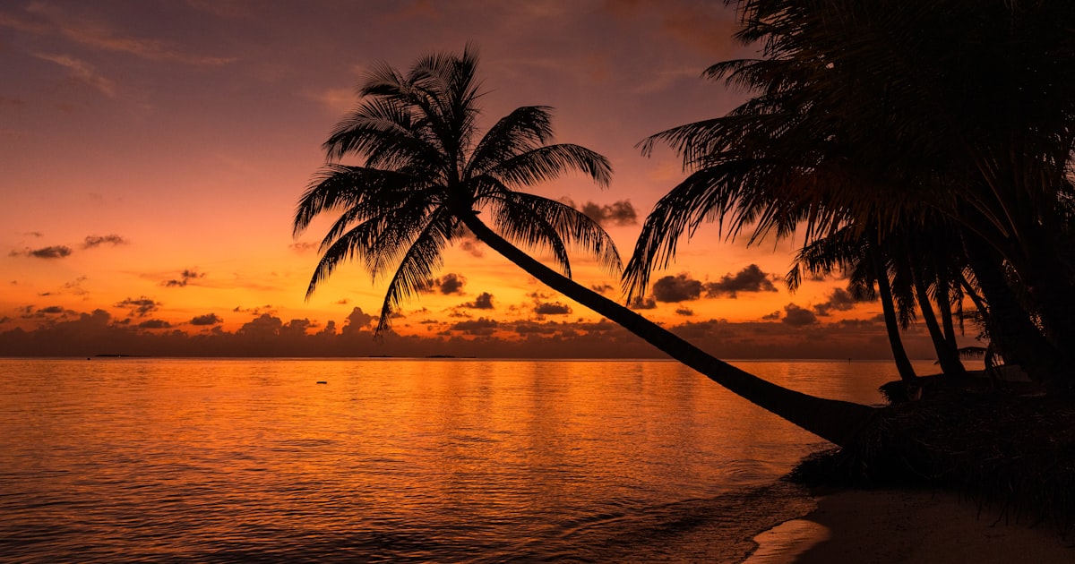 Découvrez les meilleures promotions billets avion et séjours pour 2026