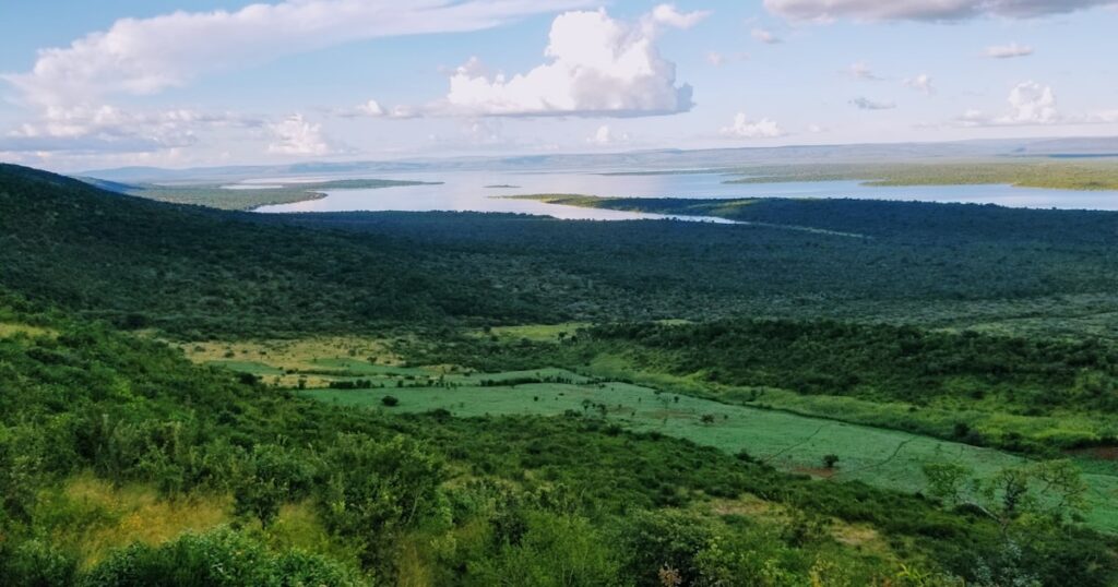 Rwanda : gorilles des montagnes et collines vertes, une aventure inoubliable