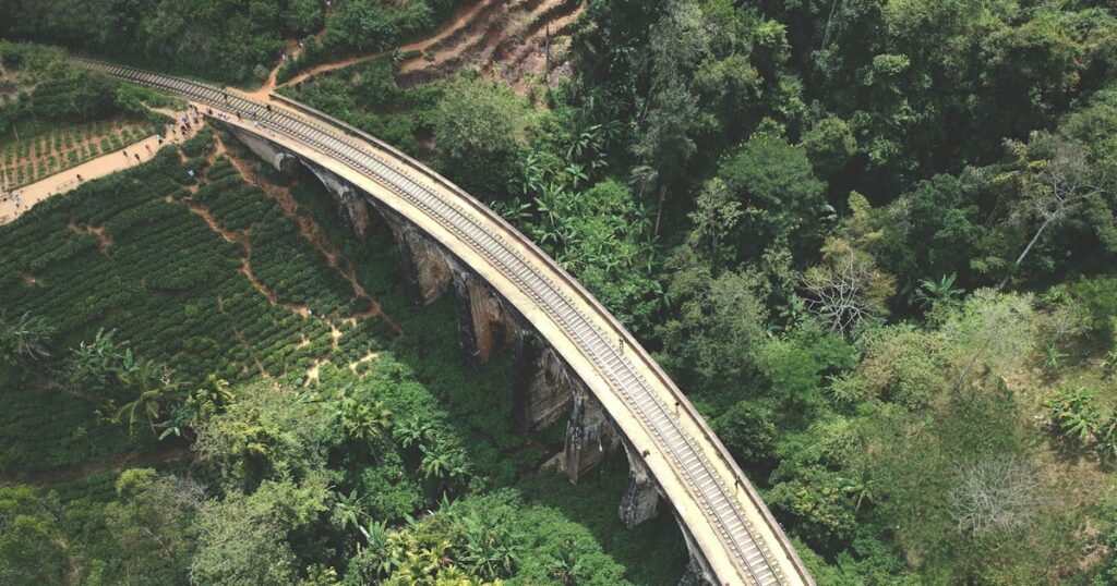 Sri Lanka en 2 semaines : plages, éléphants et thé, voyage inoubliable