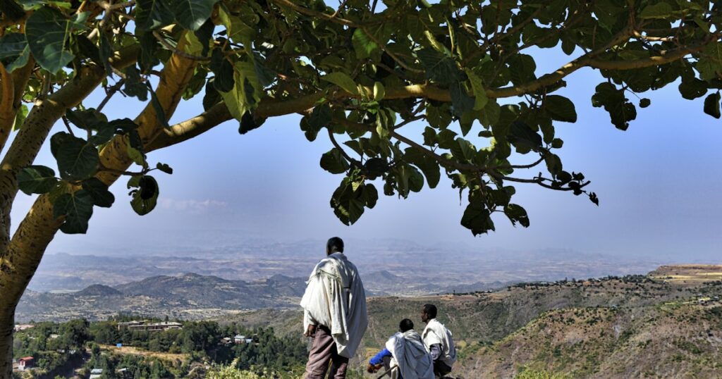Éthiopie : Lalibela, vallée de l'Omo et lac Tana, trésors culturels et naturels