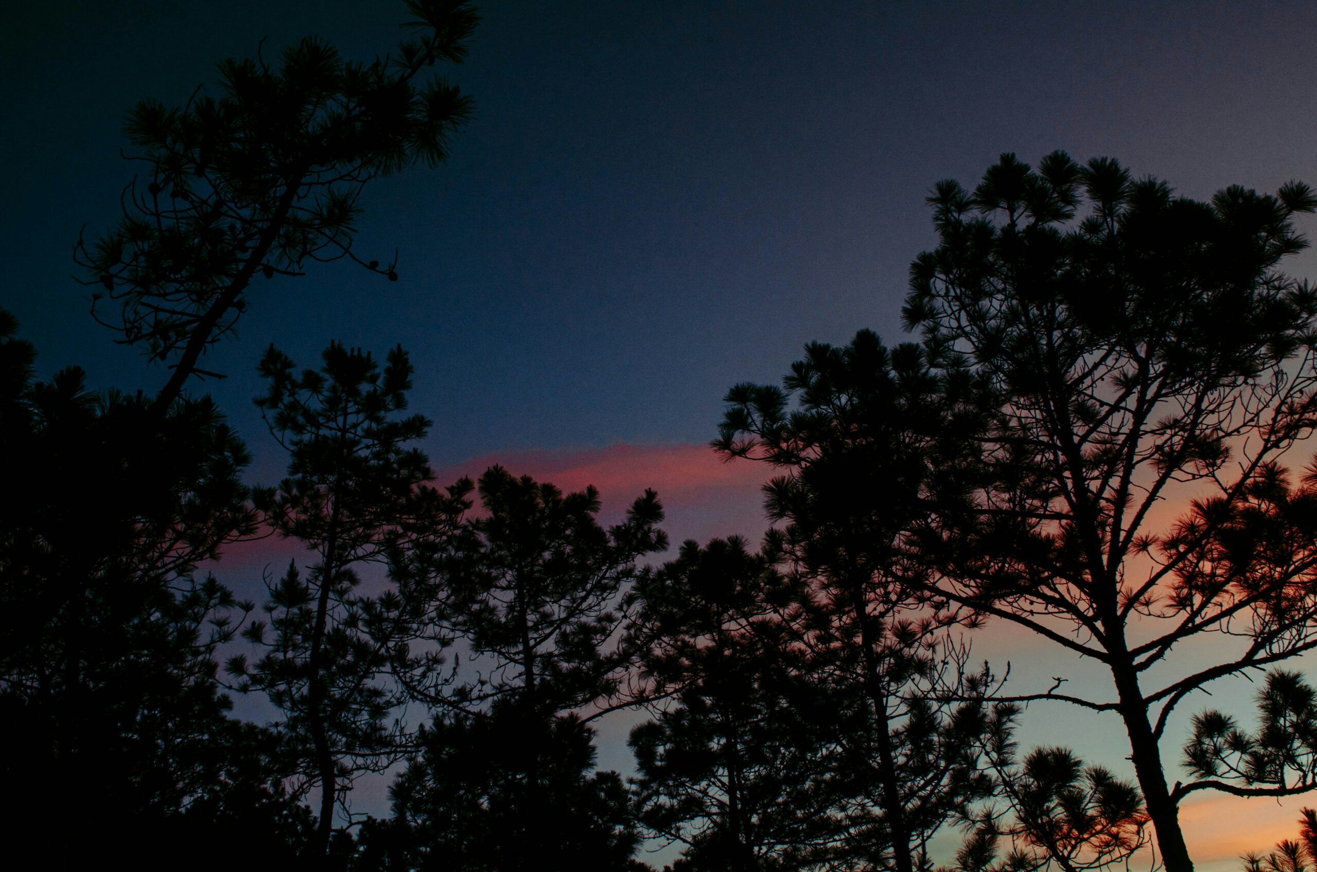Vietnam du Nord au Sud : itinéraire 3 semaines pour un voyage inoubliable