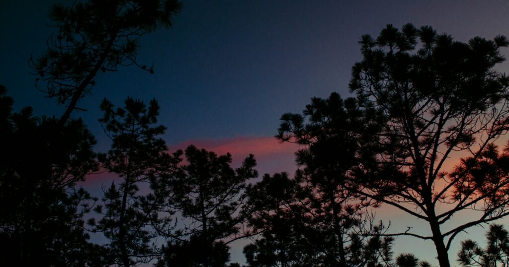 Vietnam du Nord au Sud : itinéraire 3 semaines pour un voyage inoubliable