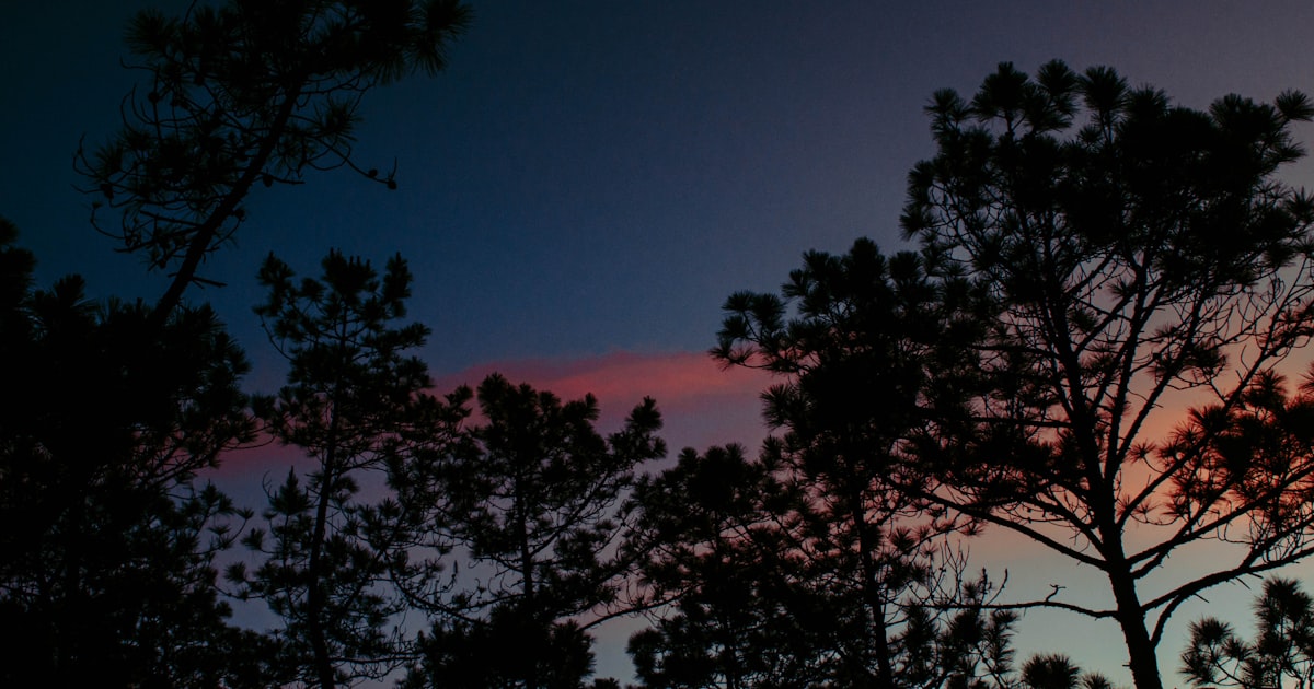 Vietnam du Nord au Sud : itinéraire 3 semaines pour un voyage inoubliable