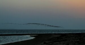 Vols low cost Afrique 2026 : plages sublimes à découvrir