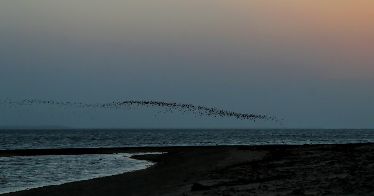 Vols low cost Afrique 2026 : plages sublimes à découvrir