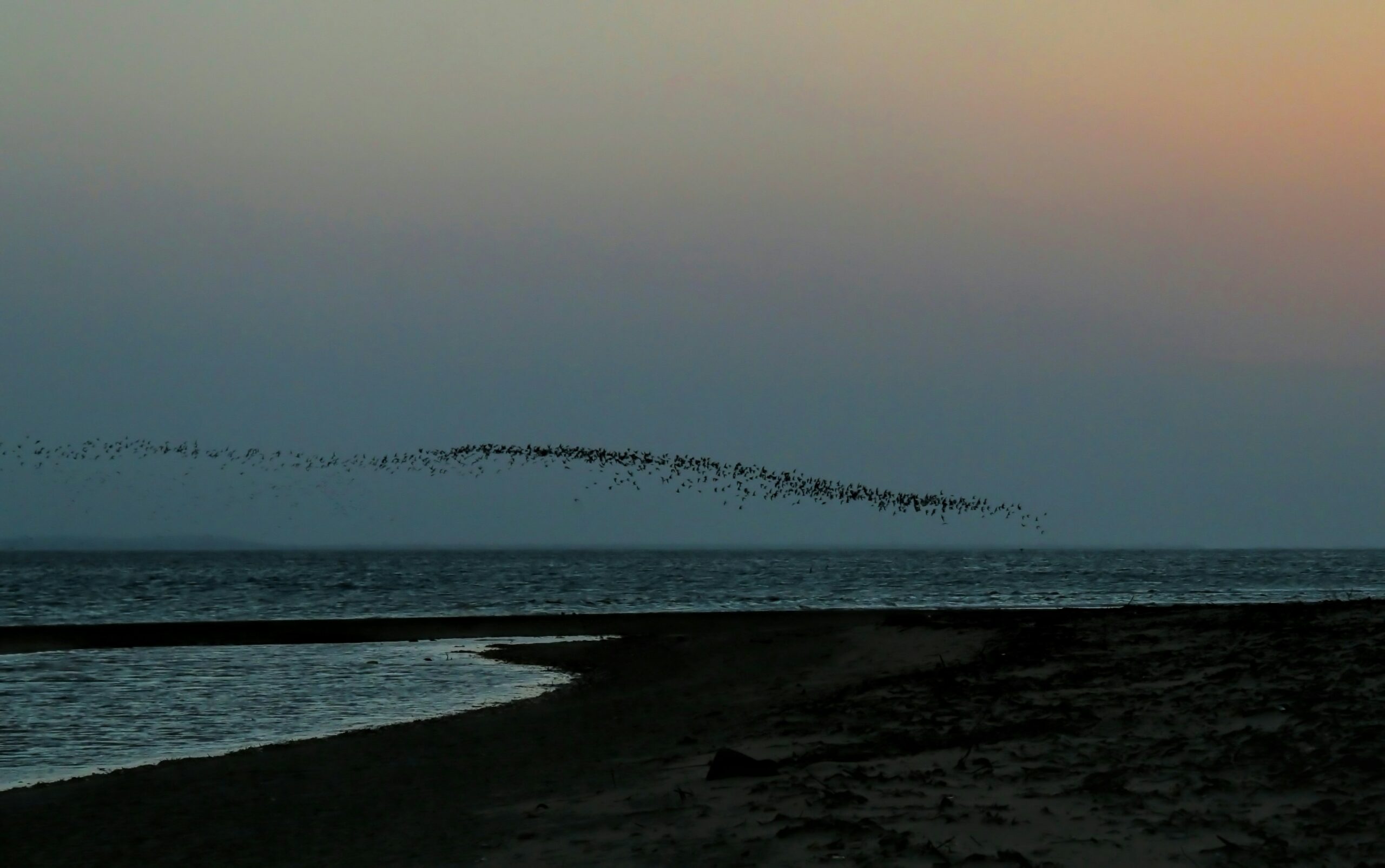 Vols low cost Afrique 2026 : plages sublimes à découvrir
