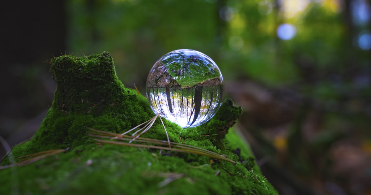 Voyage écoresponsable : 10 gestes pour réduire son impact environnemental facilement