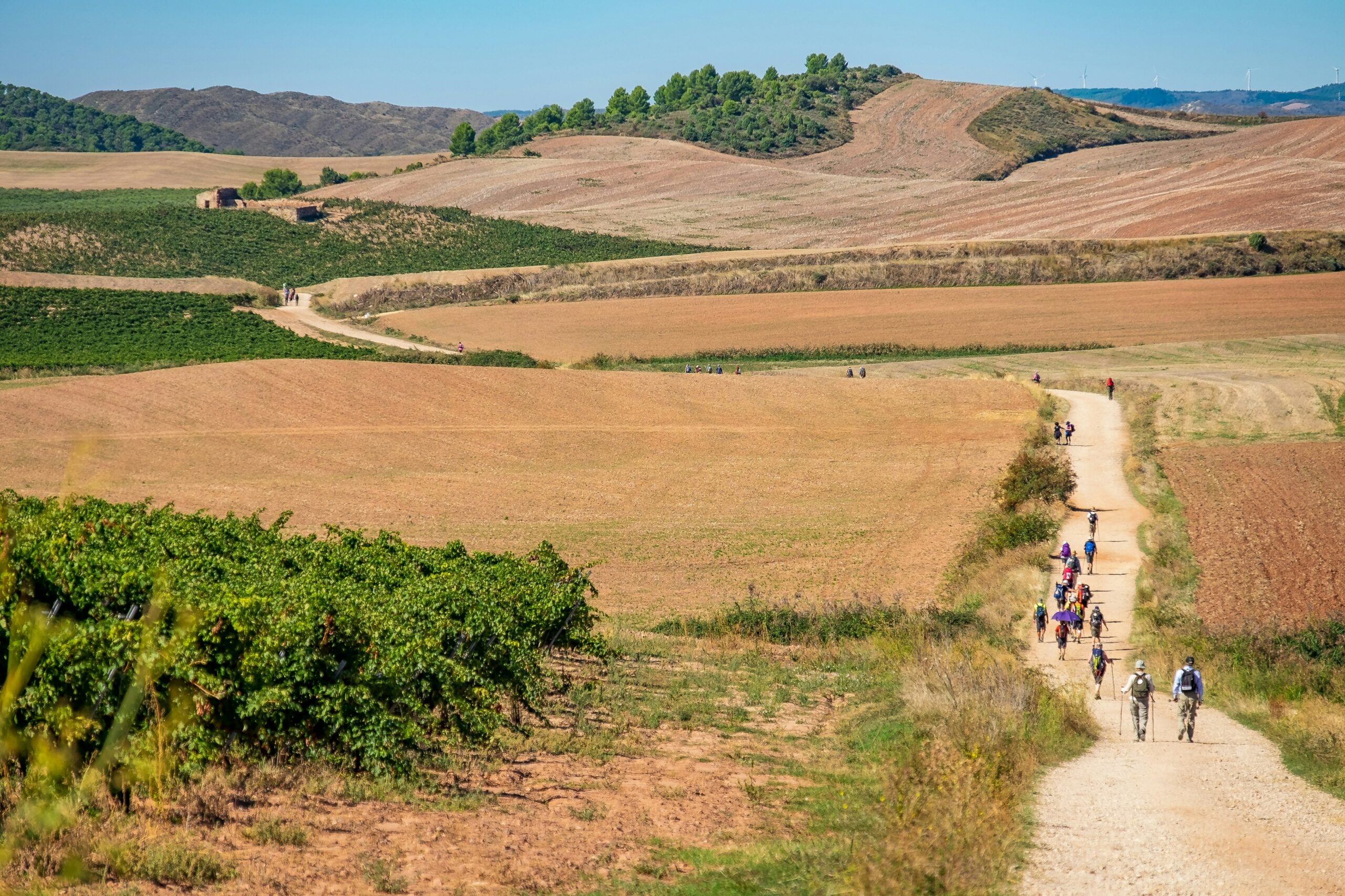 Camino de Santiago : quel chemin choisir pour débuter votre pèlerinage ?