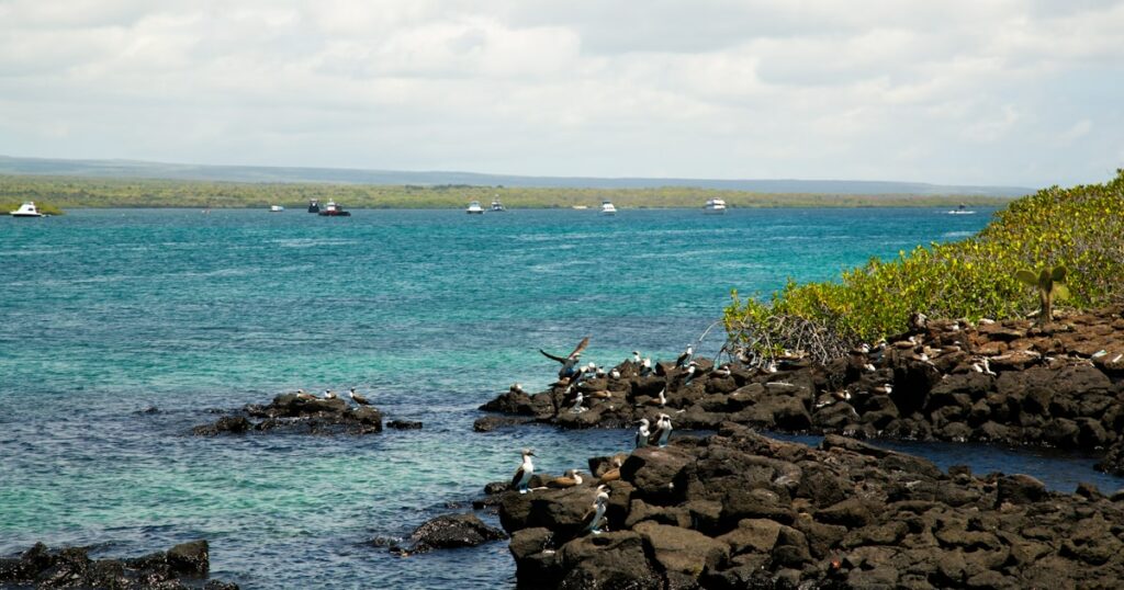 Les Galápagos : guide complet pour organiser le voyage parfait et inoubliable