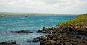 Les Galápagos : guide complet pour organiser le voyage parfait et inoubliable