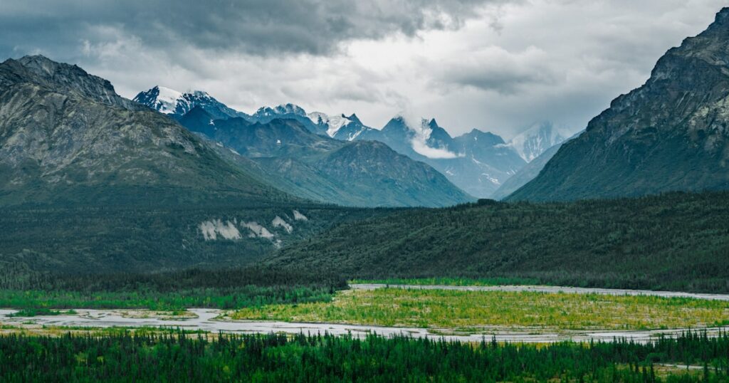 Road trip Alaska : ours glaciers et aurores boréales, aventure inoubliable